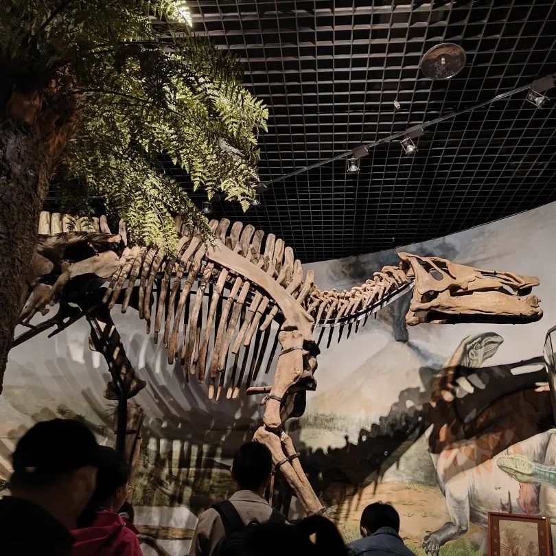 西北大学博物馆文创体验营第14期寻找遗失的恐龙世界之水晶恐龙蛋亲子体验项目报名啦！