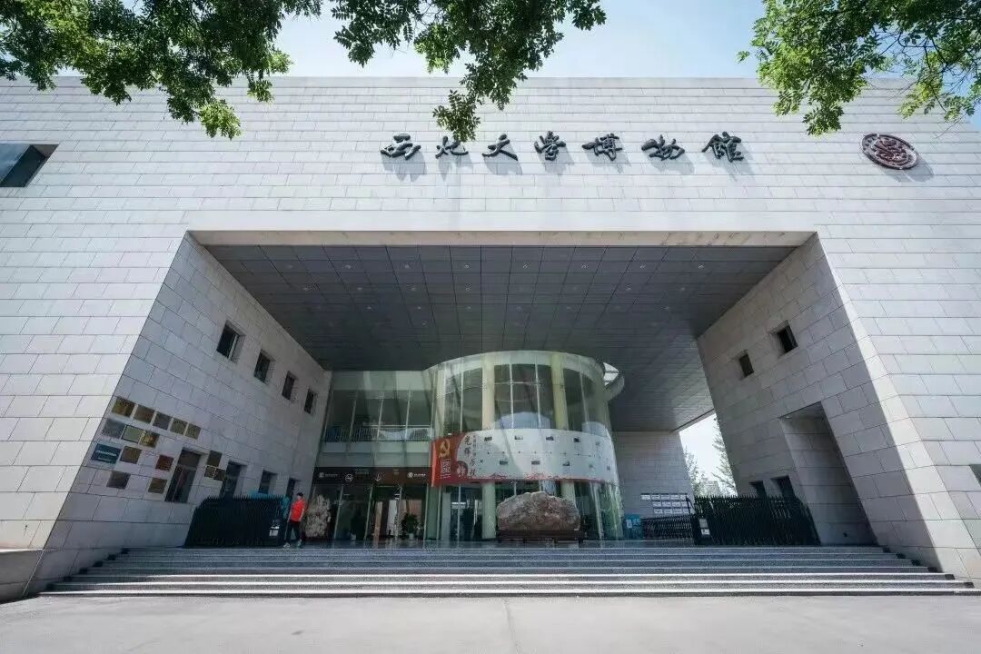 一等奖+两项单项奖！西大博物馆馆校共建点亮少年文博梦