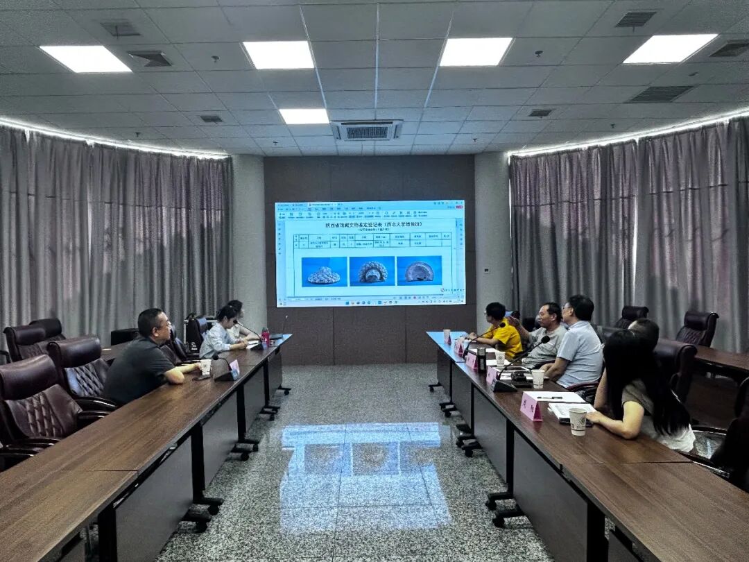 我馆馆藏文物鉴定工作圆满完成